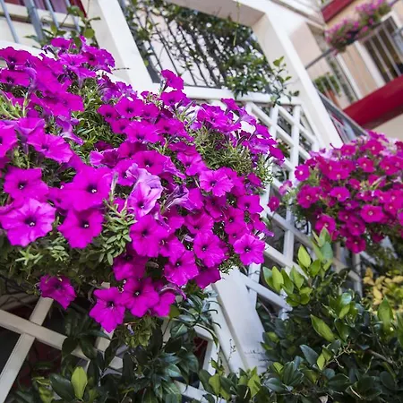 Sofia Lido di Jesolo