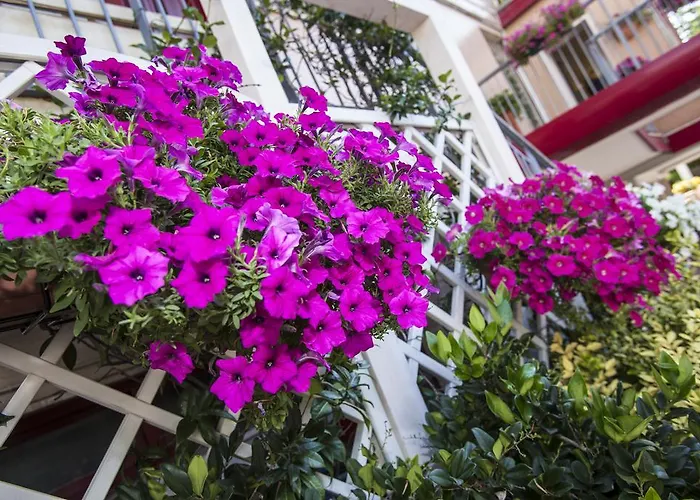 Sofia Lido di Jesolo